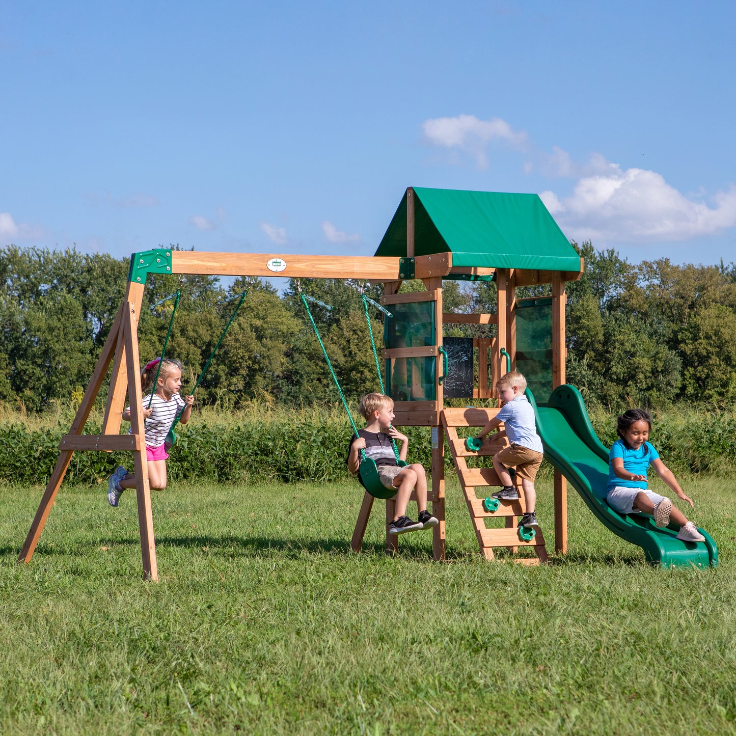 Buckley Hill Playset