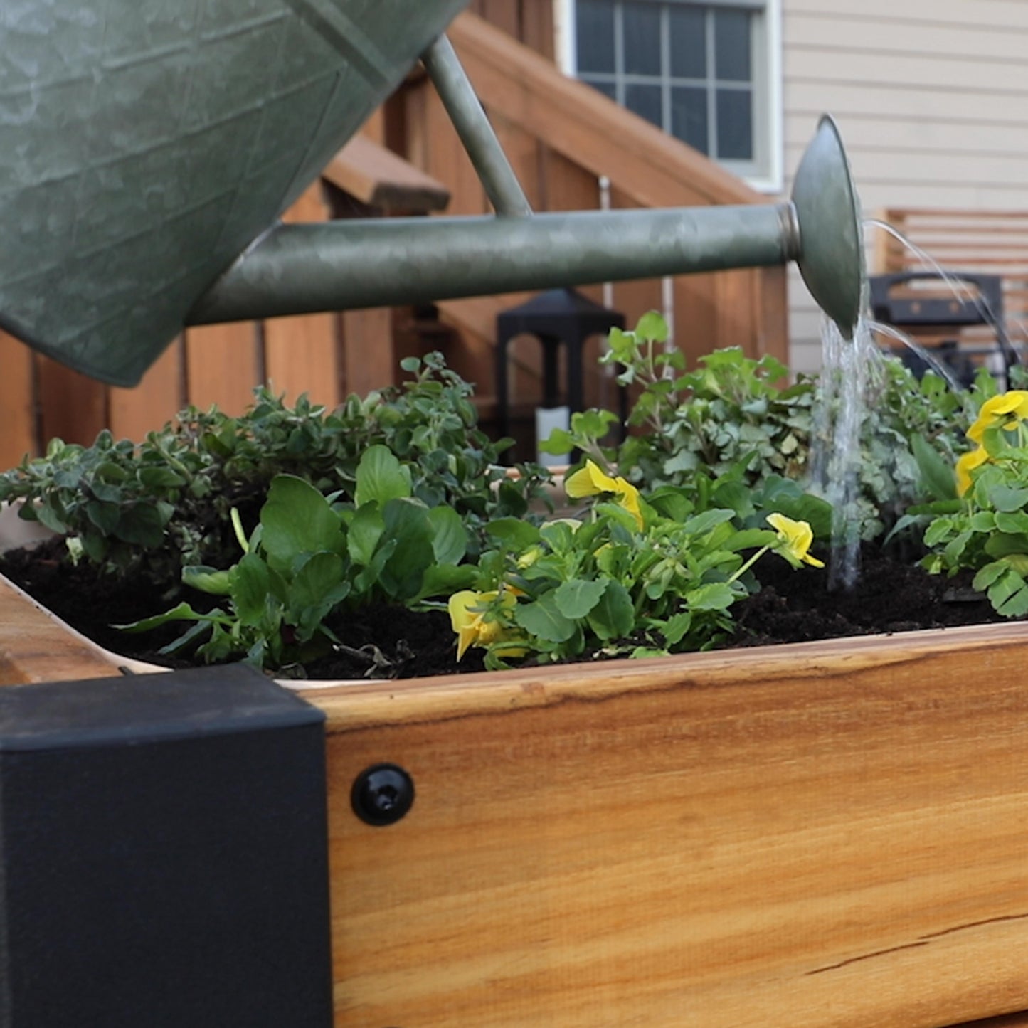 100% Authentic Teakwood Raised Planter