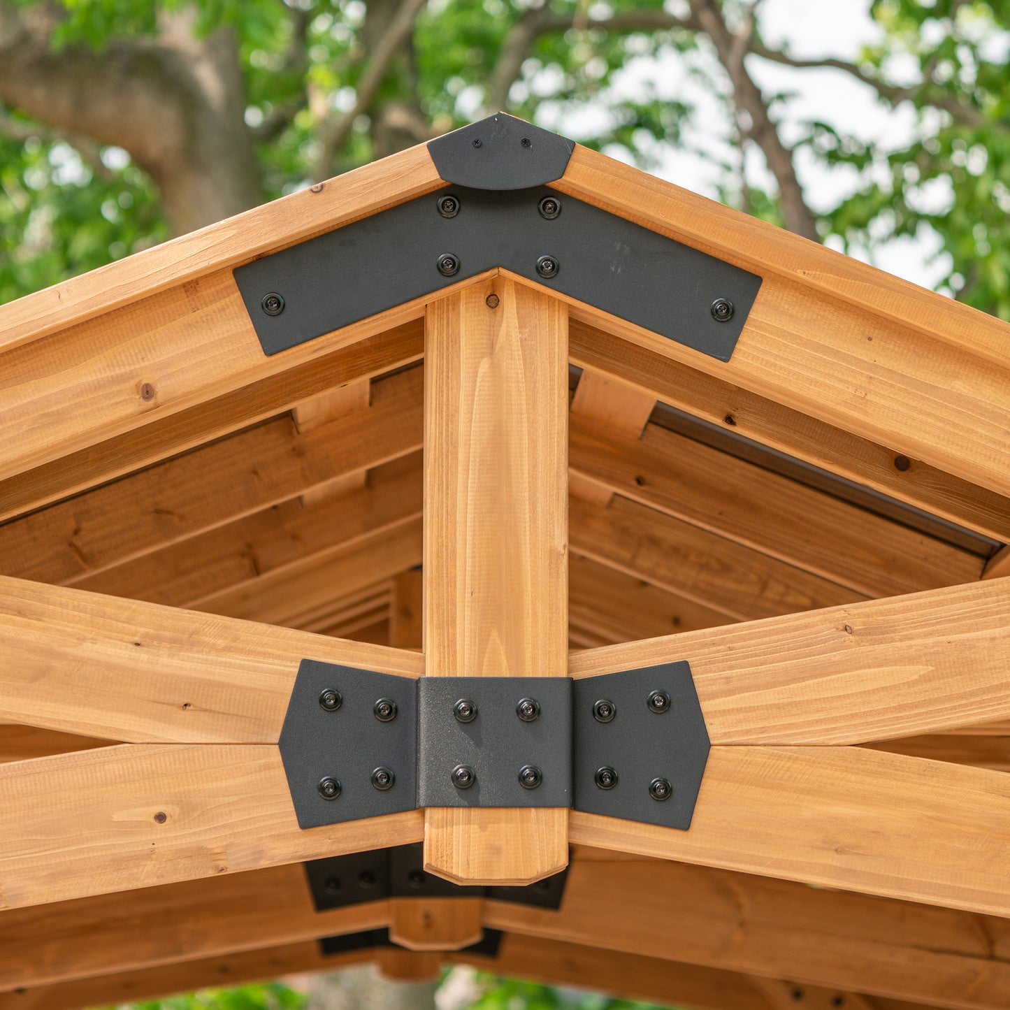 12' x 20' Norwood Gazebo/Carport